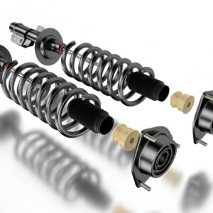 Strut Mounts