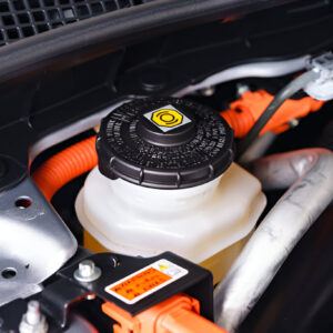 Brake Fluid Reservoir