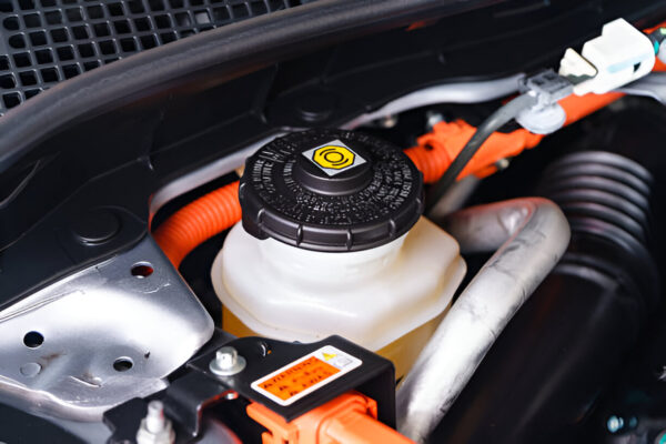 Brake Fluid Reservoir